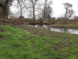 Charvil Backwater - Feb 2021